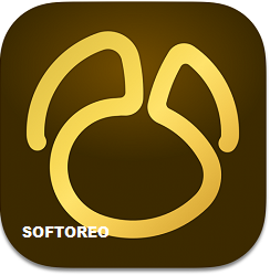Navicat Premium 17.2.2 Free Download